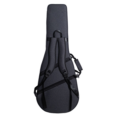 Takamine LTD2025 Elektro Akustik Gitar